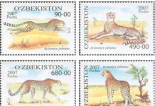 Dia Internacional da Chita