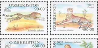 Dia Internacional da Chita