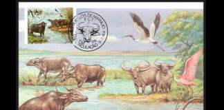 Quand la philatélie thématique défend la carte-maximum ! par Michael ABRAM