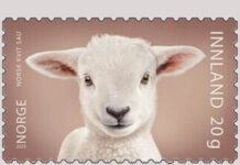 Noruega-2025: Os Animais