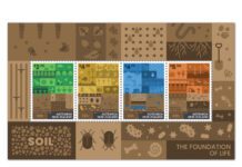 Nova Zelândia-2025: Importância do Solo