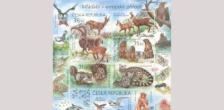 República Tcheca-2025: Animais europeus com seus filhotes