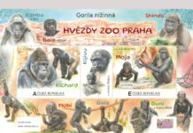 República Tcheca-2025: Estrelas do Jardim Zoológico de Praga
