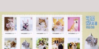 Taiwan-2025: Animais de Estimação